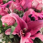 Joanne V-Wiley - @joannevwiley - Instagram