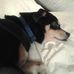 Joanne Wiley - Facebook