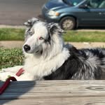 Joanne Wiley - @joanne_wiley - Instagram