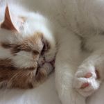 Jo-anne Winter - @_jo.winter - Instagram