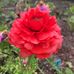 JoAnne Winter - Facebook