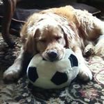 Joanne Wolfe - @joanne.wolfe - Instagram