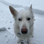 Joanne Wolfe - @joanne.wolfe.50 - Instagram