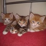 Joanne Marie Williams Wray - @elvira_29th_ - Instagram