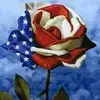 Joanne Wright - @joanne.wright54 - TikTok