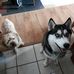 Joanne Yeager - Facebook