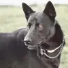 Joann Woods-Yoder - @joann.woodsyoder - TikTok
