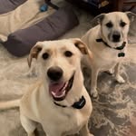 Joanne McNulty Yoder - @cubbieandbear - Instagram