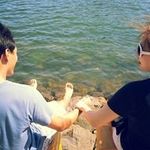 Joanne Yoo - @joanne.yoo - Instagram
