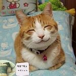 Joanne Yuen - @joanne.yuen.587 - Instagram