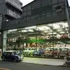 João Afonso - @bryckon - TikTok