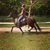 joaoafonsomacedo - @joaoafonsomacedo - TikTok