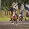 João borba - @joo.borba4 - TikTok