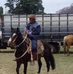 João Ronaldo Borba Dos Santos EFilhos - Facebook
