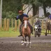 Joãoborba1 - @cassiano.borba5 - TikTok