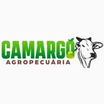 João Camargo - @camargo_agropecuaria_ - Instagram