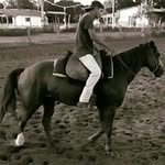 Joao Conde - @joao.conde.9887 - Instagram