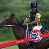 Joao Evora - @userkp17pb51rr - TikTok