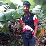 João Evora - @joaoenvalista - Instagram