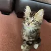 Joao  Pinto - @joao.pinto25 - TikTok