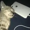 João Pinto - @joao_.pinto - TikTok