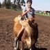 Joao Alves Queiroz Queiroz - Facebook