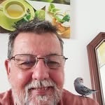 Joao Quiterio - @jpquiterio - Instagram