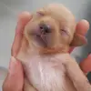 joaoramirez - @joaoramirez6907 - TikTok