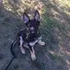 John Rebimbas - @john.rebimbas - TikTok