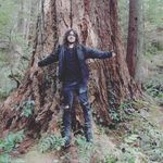 João Reis - @joaoreis.author - Instagram