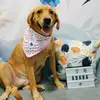 Joao Rodriguez - @joaorodriguez12 - TikTok
