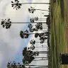 Joaorojas - @joaorojas111 - TikTok