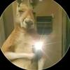 joaorosales86 - @joaorosales86 - TikTok