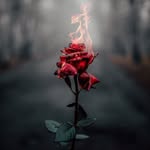 João Seabra - @seabra_photos - Instagram