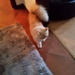 Joao Seabra - Facebook