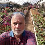 João Silvestre - @joao.silvestre.7906 - Instagram