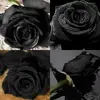 joaosoares - @joaosoares3161 - TikTok