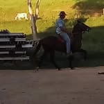 João trindade - @pedro.trindade16 - Instagram