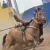 joao.trindade38 - @joao.trindade38 - TikTok