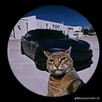 Joao Trujillo - Facebook