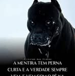 João Vargas - Facebook