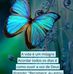 Joao Vasconcelos - Facebook