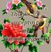 Joao Vicente - Facebook