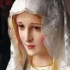 João Viveiros - @joo.viveiros8 - TikTok