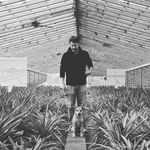 João Viveiros - @j.viveiros - Instagram