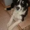 Joaquim Afonso - @joaquim.afonso - TikTok