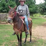 Joaquim Afonso de Miranda - @joaquimafonsodemiranda - Instagram