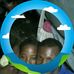 Joaquim Agostinho Agostinho - Facebook