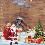 Joaquim Barreira - Facebook