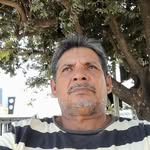 Joaquim Brandão - @joaquim.brandao.5473 - Instagram